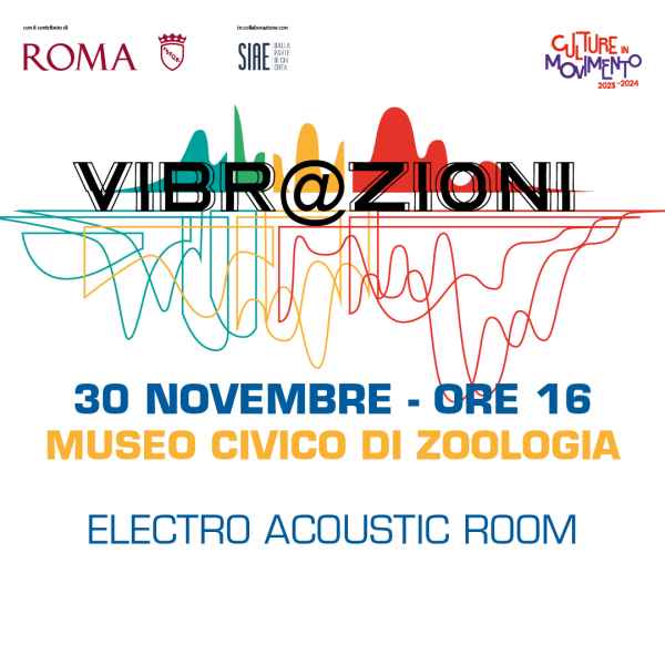 Electro Acoustic Room